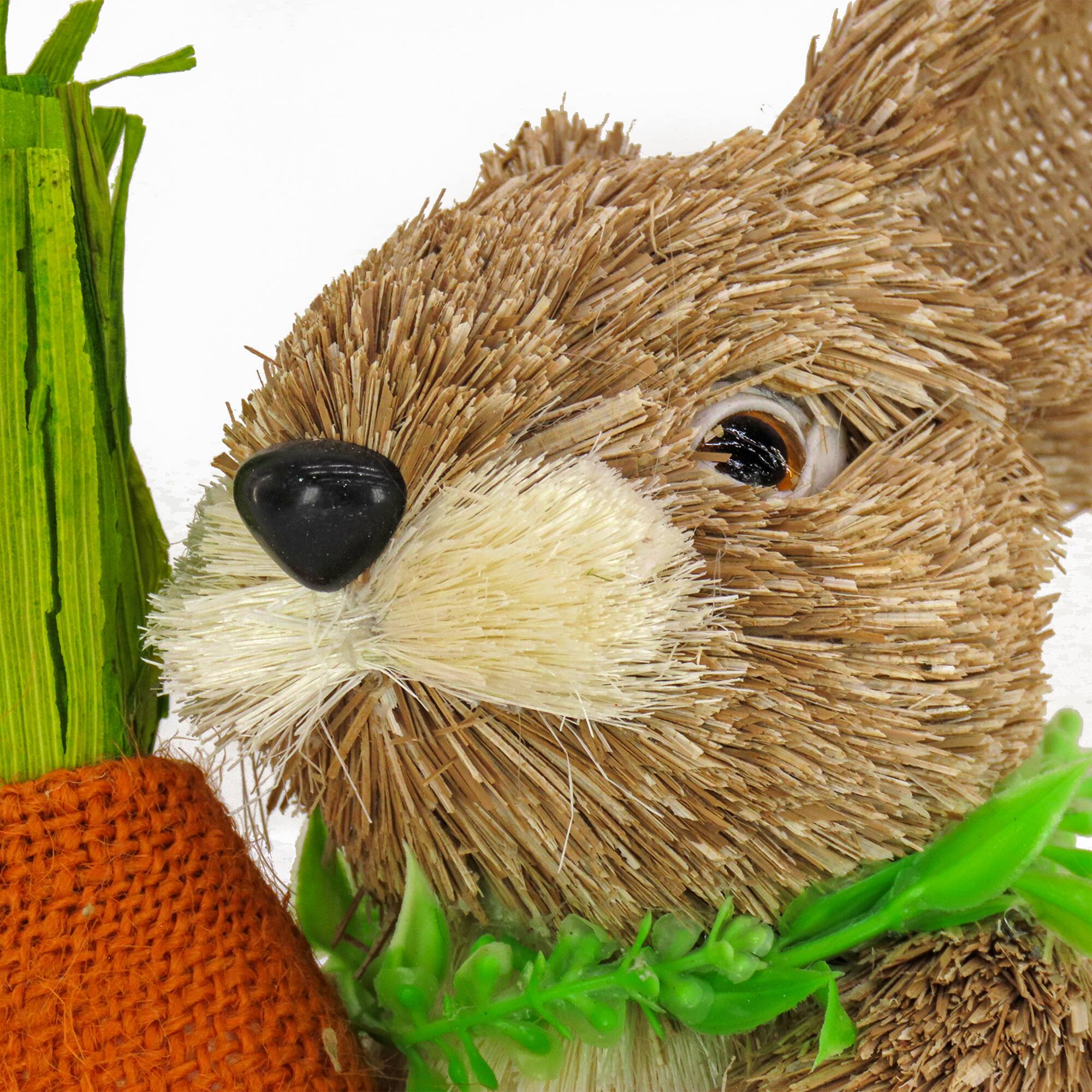 12" Easter Bunny With Carrot